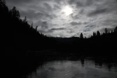 DSC_0210 (Large).JPG